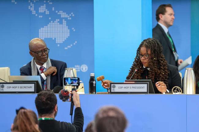 Taukondjo Shikongo, CBD Secretariat, and Nagoya Protocol MOP 5 President Nneka Nicholas, Antigua and Barbuda