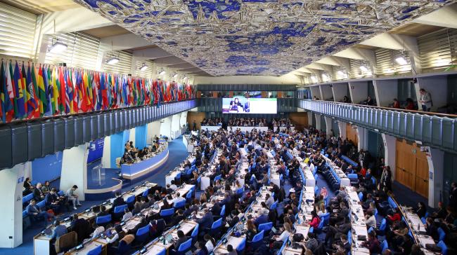 View of the room during the opening plenary
