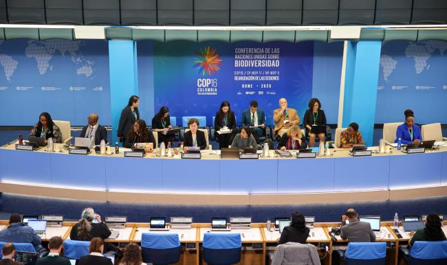 View of the dais during the opening plenary
