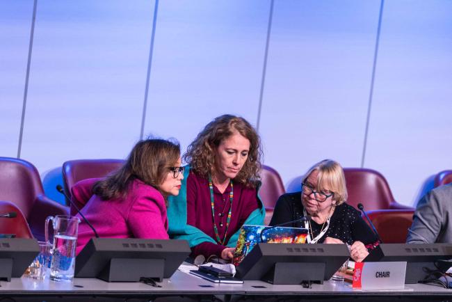 Ivonne Higuero, CITES Secretary-General, Thea H. Carroll, Chief of the Science Unit, and SC78 Chair Rosemarie Gnam - CITES_SC78_6feb2025-photo