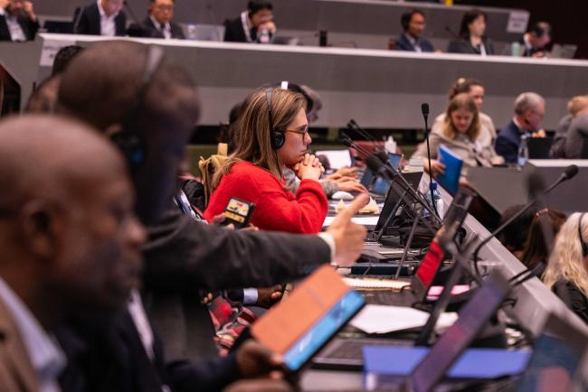 Plenary 1 - CITES_SC78_6feb2025-photo
