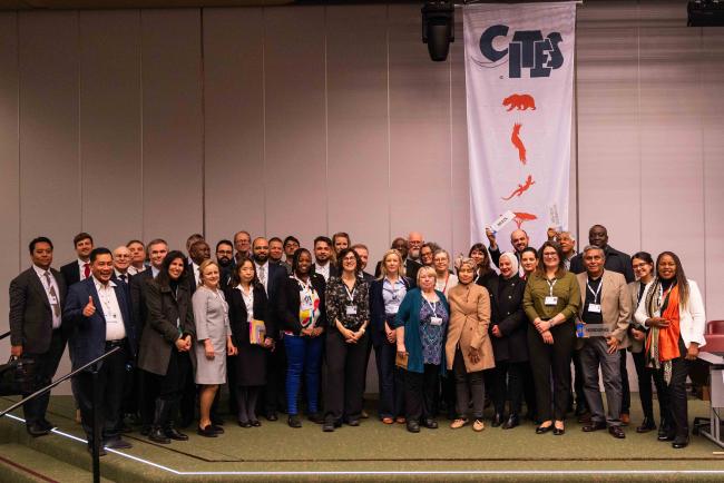 SC78 Standing Committee members - CITES_SC78_8feb2025-photo