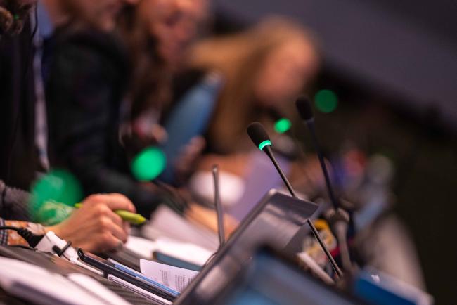 Standing Committee members voting on whether to retain trading restrictions - CITES_SC78_6feb2025-photo