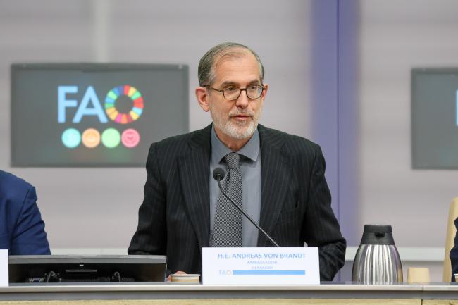 Andreas von Brandt, Ambassador, Permanent Representation of the Federal Republic of Germany to the UN Organizations in Rome