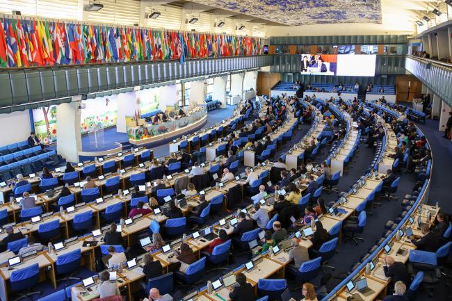 View of the room during the afternoon plenary