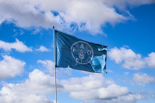 FAO flag