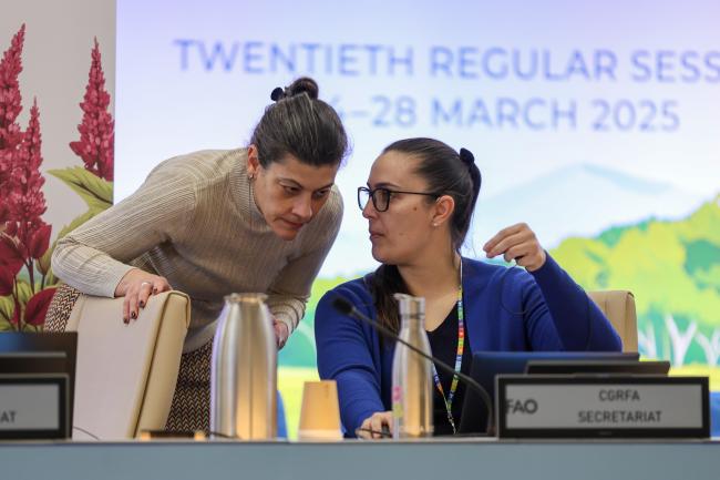 CGRFA Secretary Manoela Pessoa de Miranda, and Suzanne Redfern, CGRFA Secretariat