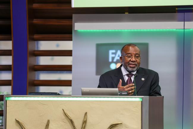 Chikelu Mba, Deputy Director, NSP, FAO