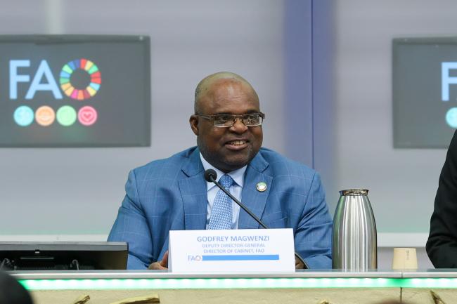 Godfrey Magwenzi, Deputy Director-General, FAO