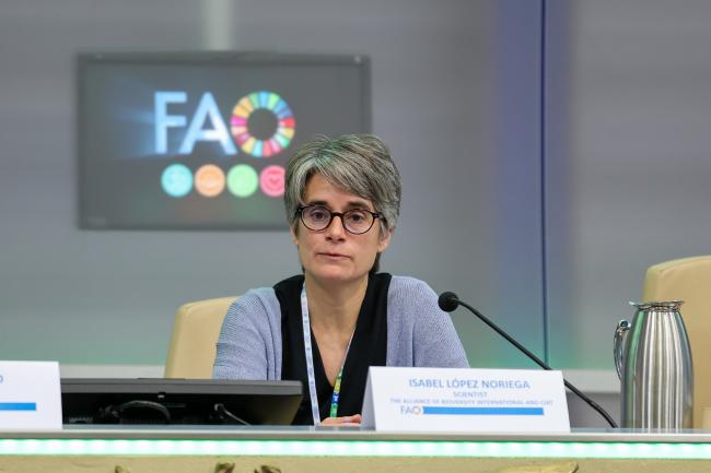 Isabel López Noriega, Bioversity International and CIAT