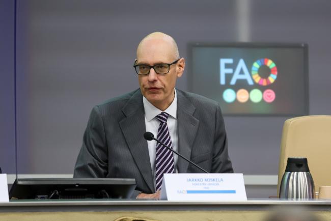 Jarkko Koskela, Forestry Officer, FAO