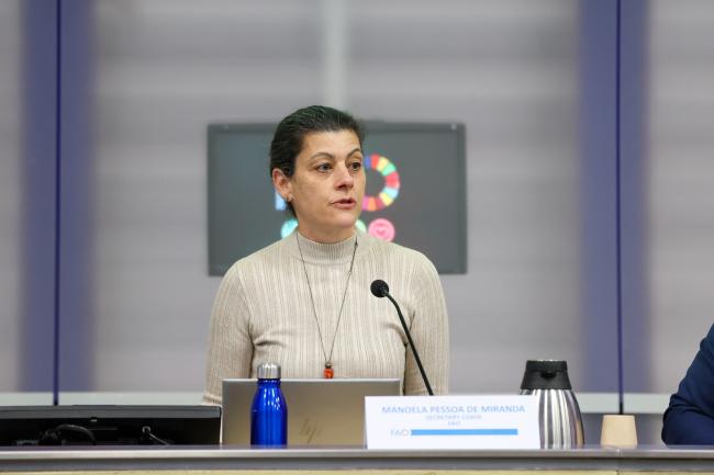Manoela Pessoa de Miranda, Secretary, CGRFA