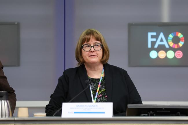 Mari Rusanen, Senior Expert, Natural Resources Finland
