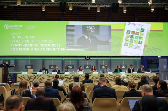 A view of the room during the panel discussion