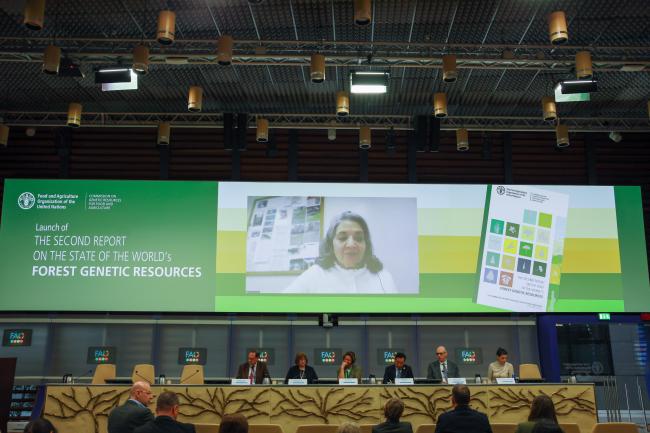 Ramni Jamnadass, Senior Advisor, Tree Genetic Resources and Biodiversity, Center for International Forestry Research and World Agroforestry (CIFOR-ICRAF)