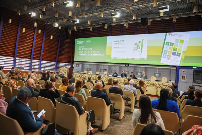 A view of the room during the side event