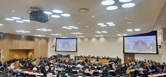 Plenary - BBNJ - 21Apr2025