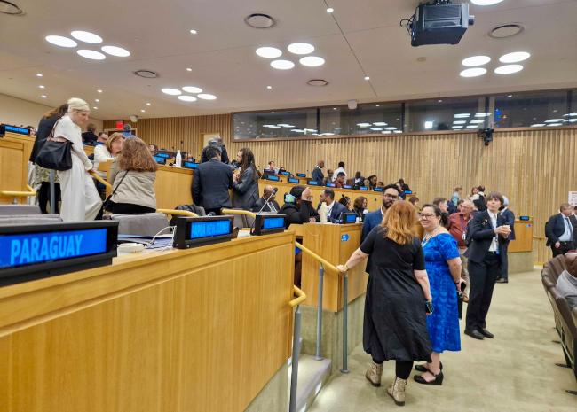 In plenary - BBNJ - 24Apr2025.jpeg