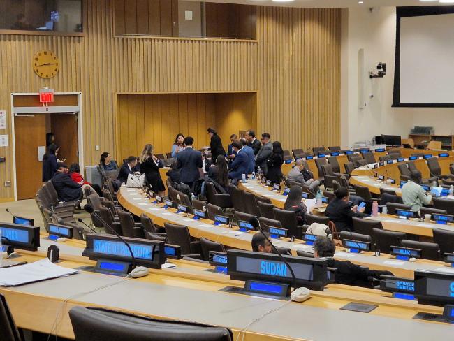 Informal consultations among delegates - BBNJ - 15Apr2025