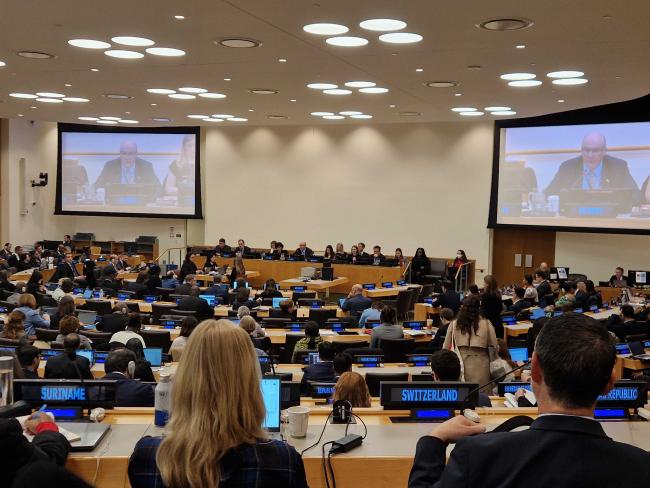 PrepCom Co-Chair Adam McCarthy (Australia) - BBNJ - 15Apr2025.jpg