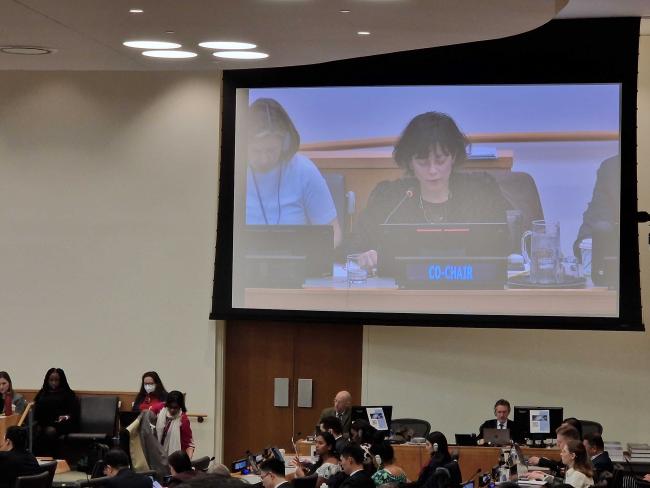 PrepCom Co-Chair Janine v2 Coye-Felson (Belize) - BBNJ - 15Apr2025.jpg