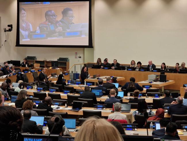 South Africa speaking on behalf of the African Group - BBNJ - 15Apr2025.jpg