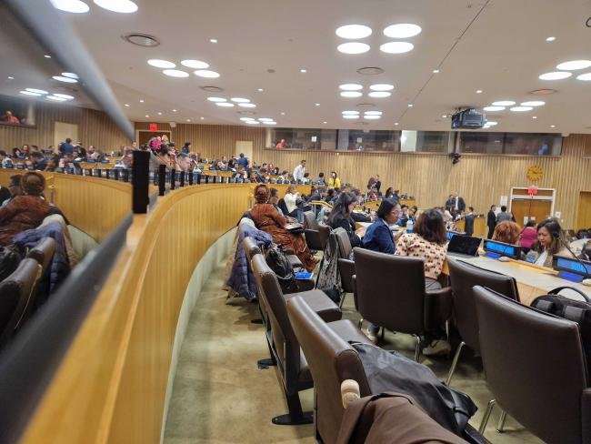 View of plenary - BBNJ - 16Apr2025.jpg